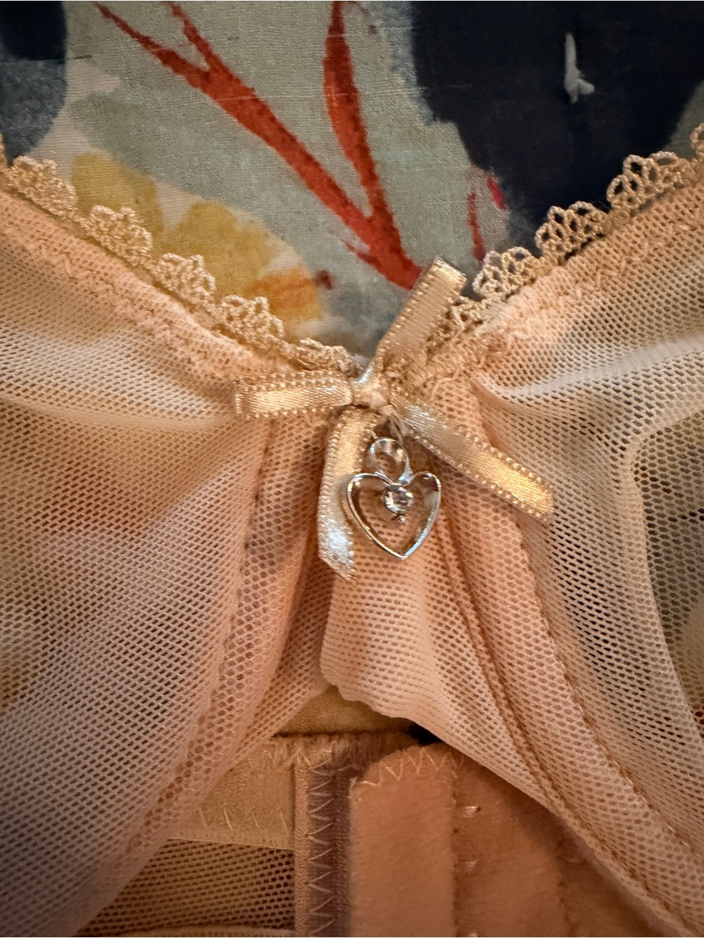 HWDI 38B Sheer Beige Underwire Bra NWOT - Picture 7 of 10